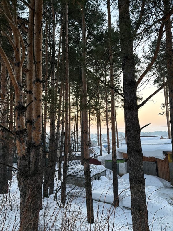 Winter morning moments documented across Chaikovsky, Russia