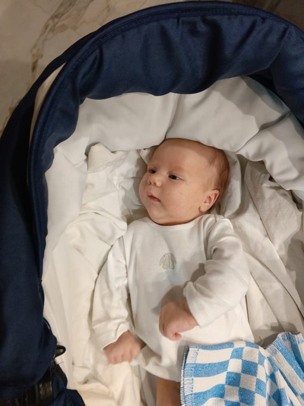 Baby observed in carriage in Andreyevo, Russia