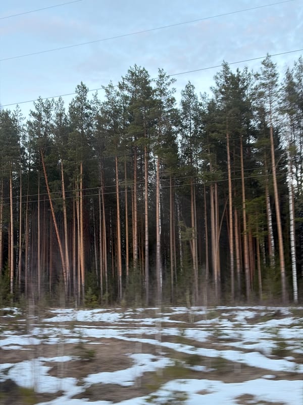 Forest and cloud formations observed in Novyi, Russia
