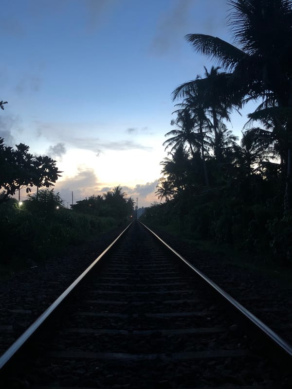 Train track through tropical foliage in Koggala, Sri Lanka