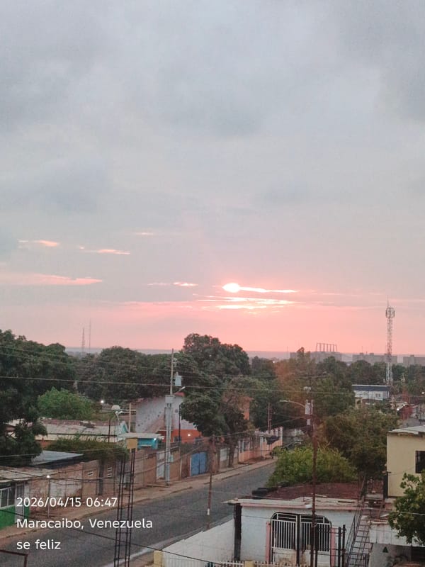 Pink dawn or dusk illuminates residential cityscape