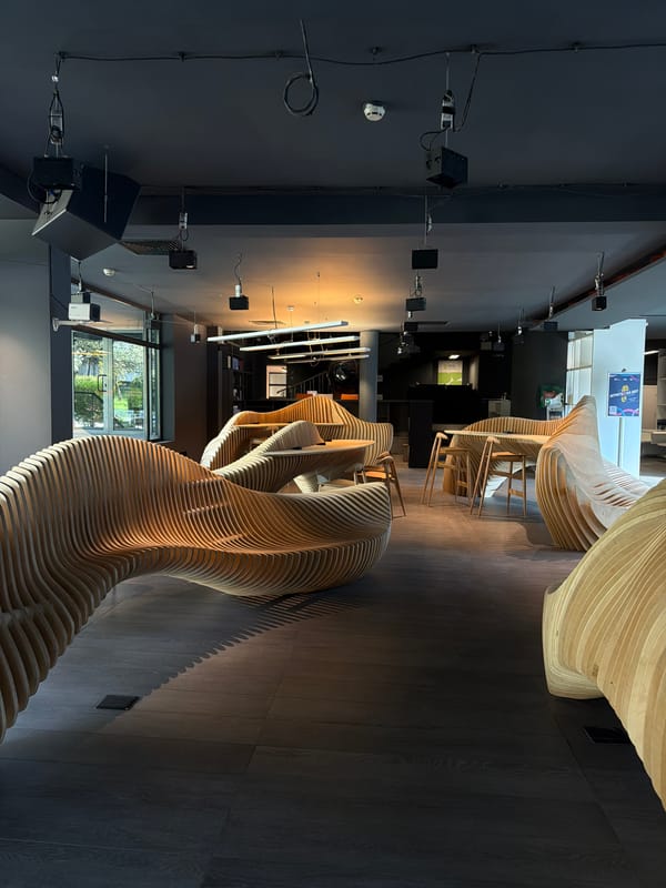 Curved wooden installations documented in interior space