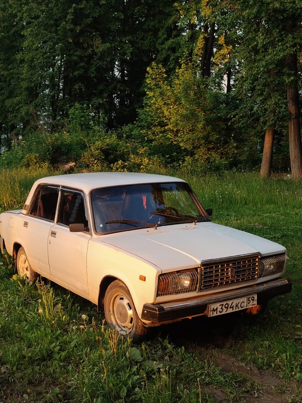Abandoned white sedan found in overgrown area near urban plaza
