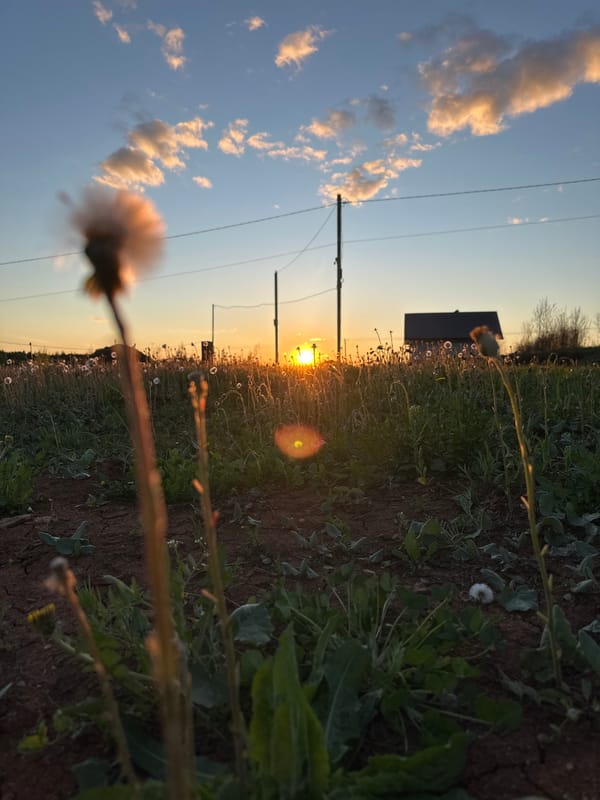 Sunset documented across rural Прикамский, Russia landscape