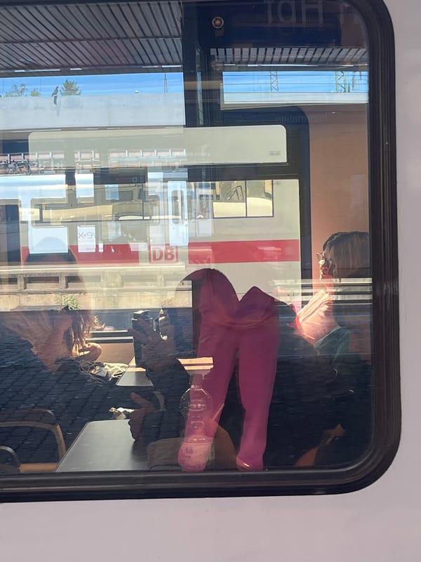 Train journey documented through Saarbrücken's railway landscape