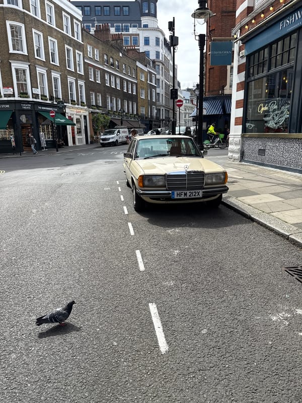 Mercedes parks on London street, pigeon spotted nearby