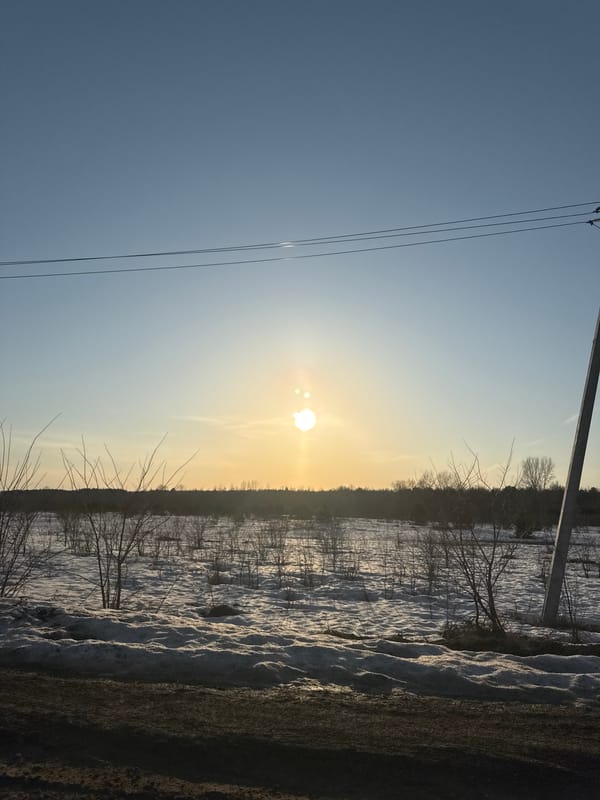 Winter landscape with low sun captured in Noviy, Russia