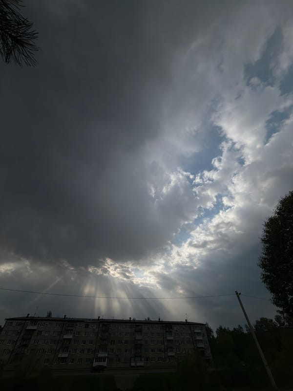 Spring blooms documented in Birobidzhan amid cloudy morning skies