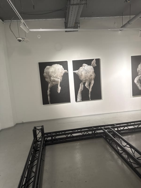 Abstract art display observed in minimalist gallery space