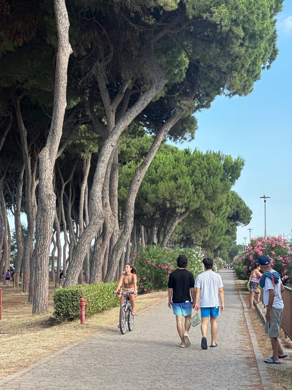 Afternoon stroll through Pineto's pine-lined streets and station