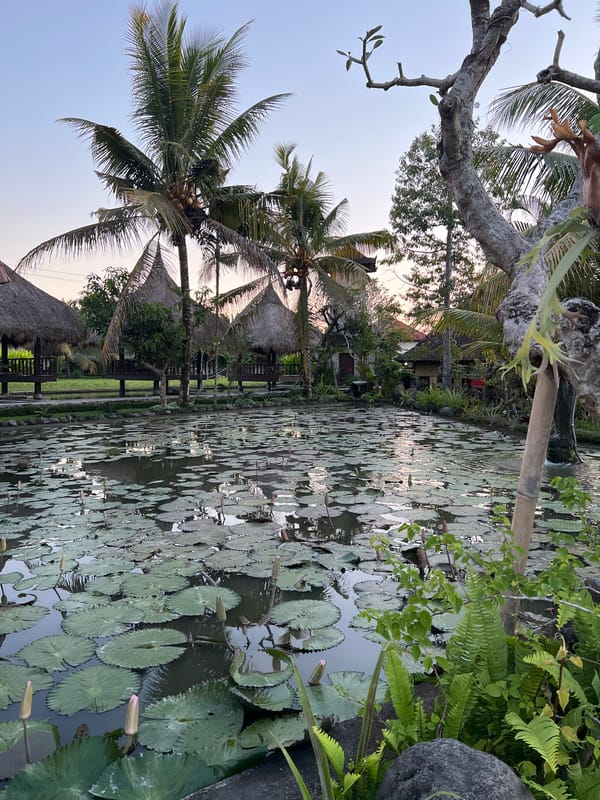 Tourist captures Ubud's gardens and rice paddies in brief visit
