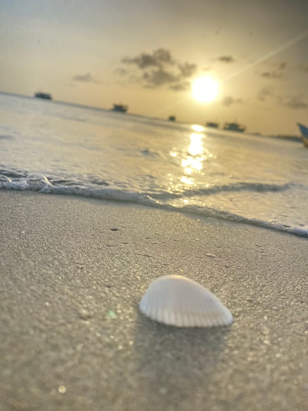 Evening beach life documented in Juan Griego, Venezuela