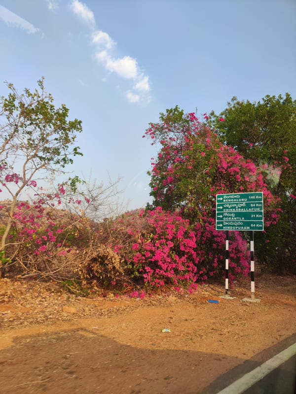 Rural roadside scene documented in Bade Nayak Thanda, India