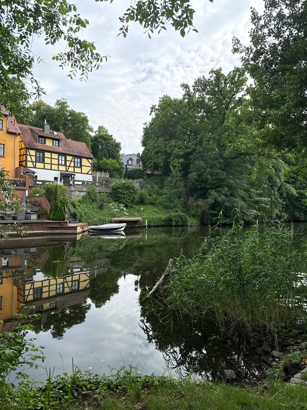 Riverside town walkabout: wildflowers, ivy walls, and canal reflections