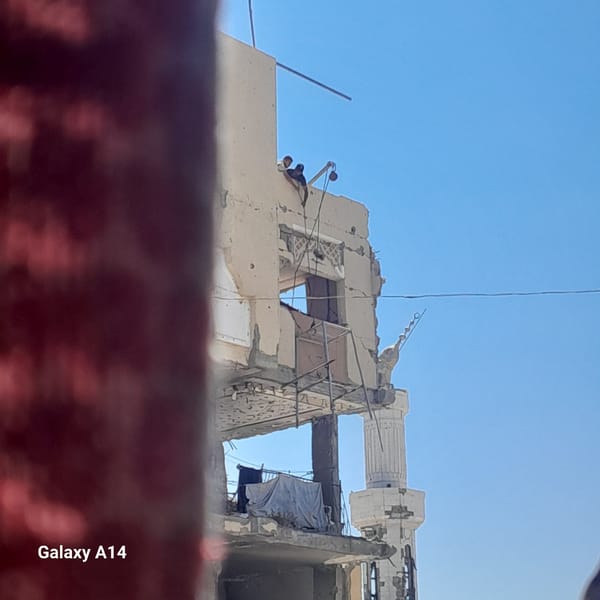 Daily life continues in Khan Yunis amid widespread urban destruction