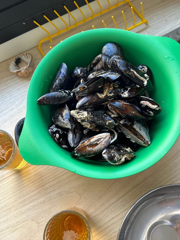 Home cook prepares fresh mussel dinner in Málaga residence