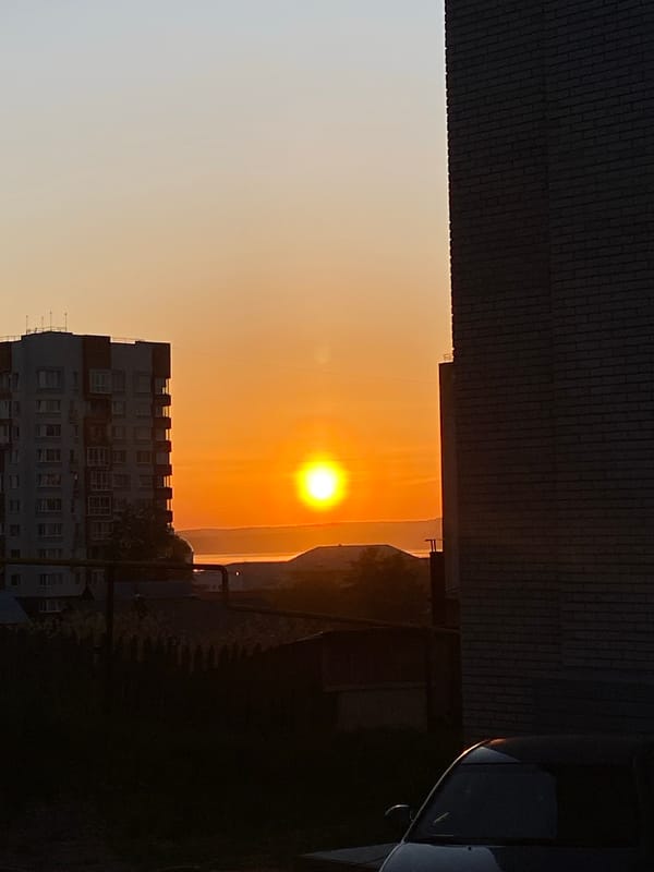 Spring flowers and sunset documented in Votkinsk, Russia
