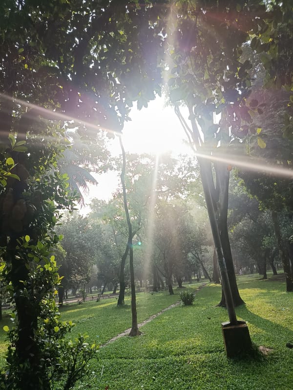 Routine nighttime scenes documented across Dhaka parks and streets