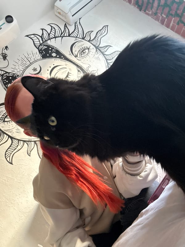 Black cat with green eyes spotted upside down