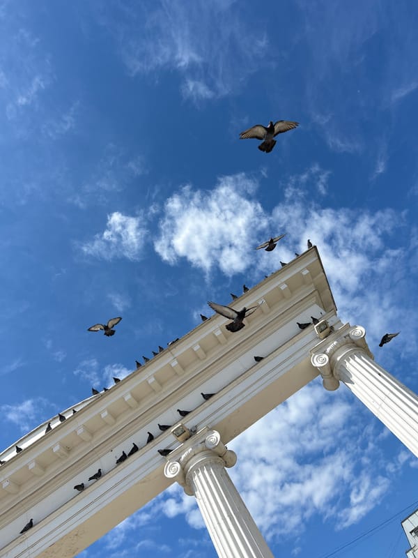 Morning life captured in Chaikovsky town square with pigeons, roses