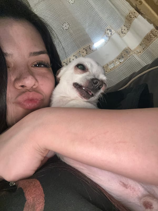 Woman and Chihuahua Share Quiet Evening in Bulgarian Village