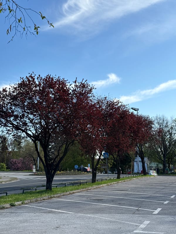 Morning scenes of Zagreb parking lot and bicycle path captured