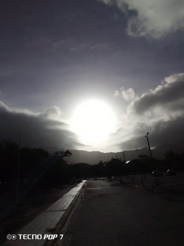 Tropical morning scenes documented in Pedro González, Venezuela