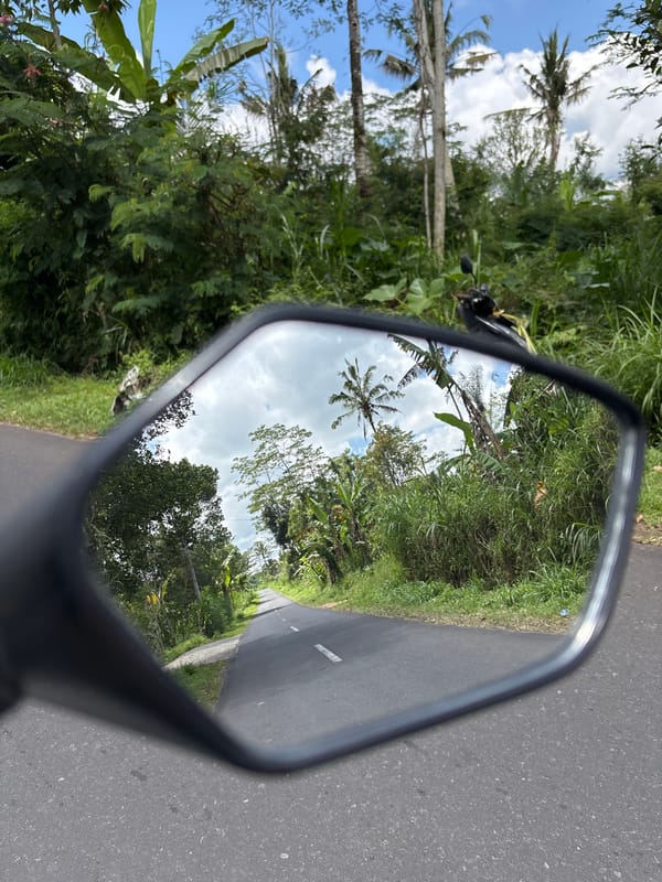 Early morning motorcycle ride through tropical Tegallalang, Indonesia