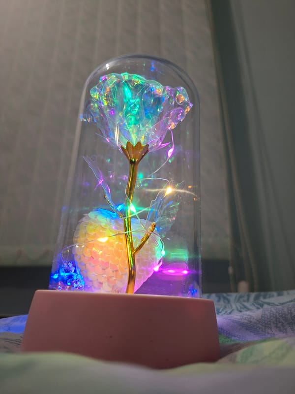 Decorative preserved rose in glass dome spotted in Bulgaria