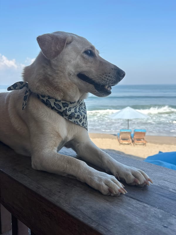 Lazy afternoon scenes along North Kuta's beachside strip
