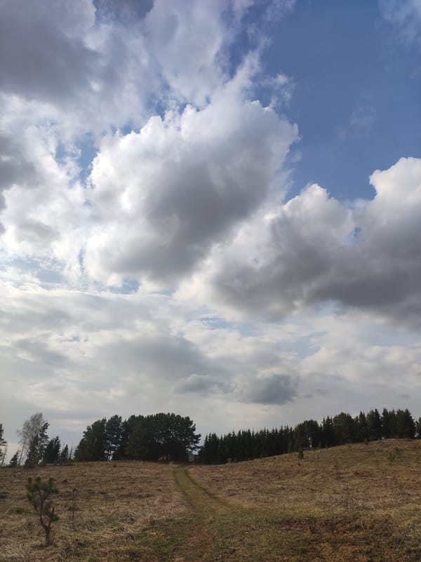 Person documents rural walk in Фоки, Russia countryside
