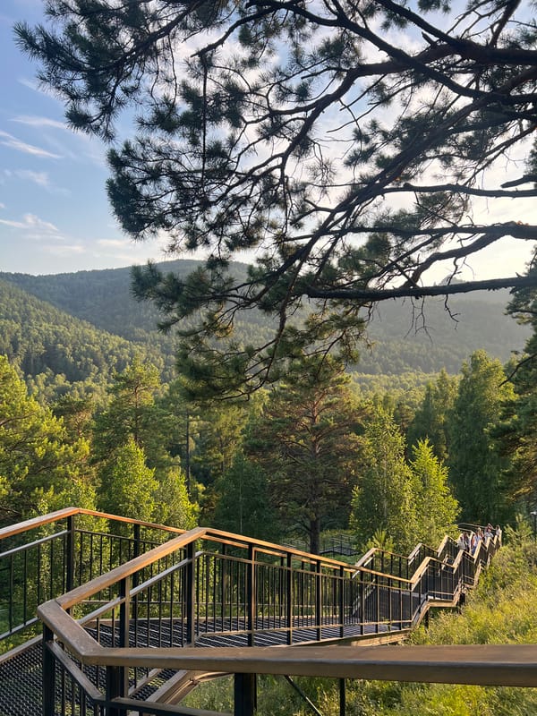 Forested overlook above Siberian Federal University, Krasnoyarsk