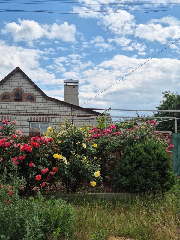 A quiet summer afternoon across Sozonivka, Ukraine