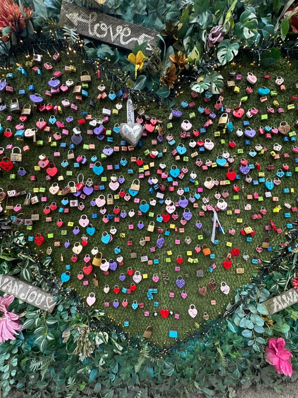 Love locks display spotted on green surface in Amsterdam