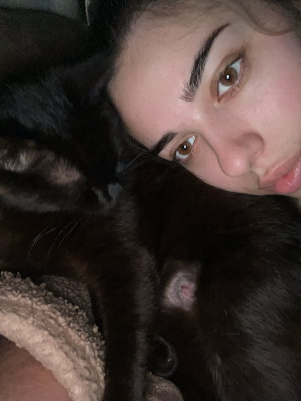 Close moment with a black cat in Velykyi Bychkiv