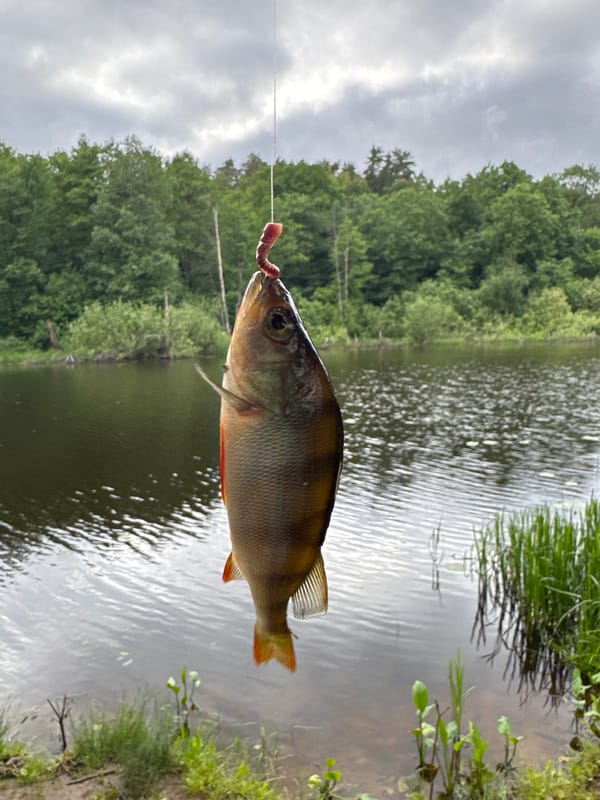 Fishing trip and campfire gathering documented in Noviy, Russia