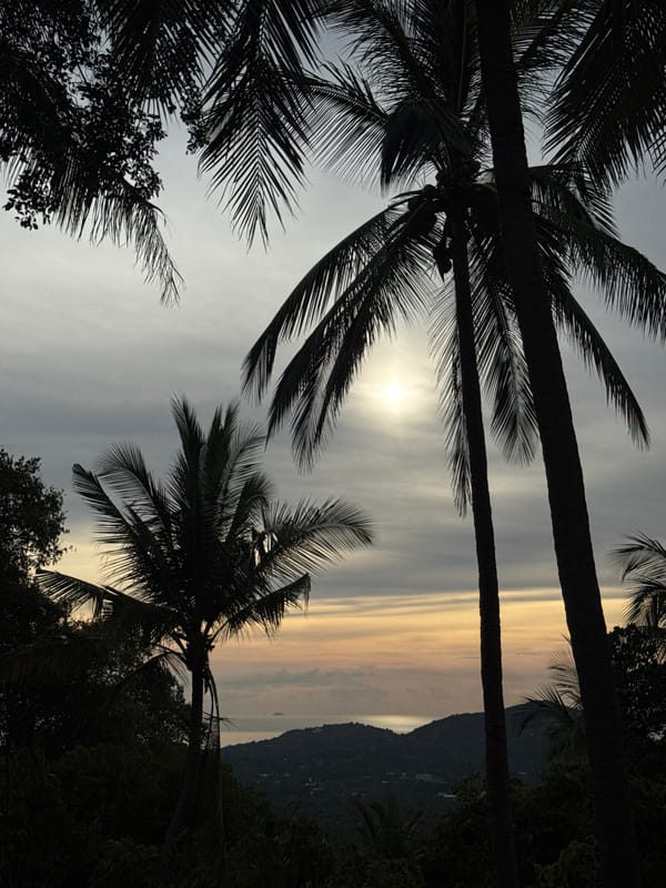 Slow tropical morning in Ban Tai — palms, wildlife, and big skies