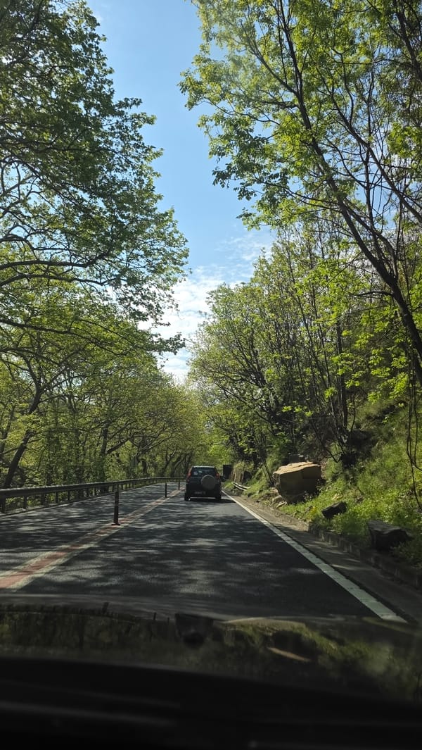 Vehicle passes through tree-canopied road in Stara Kresna, Bulgaria