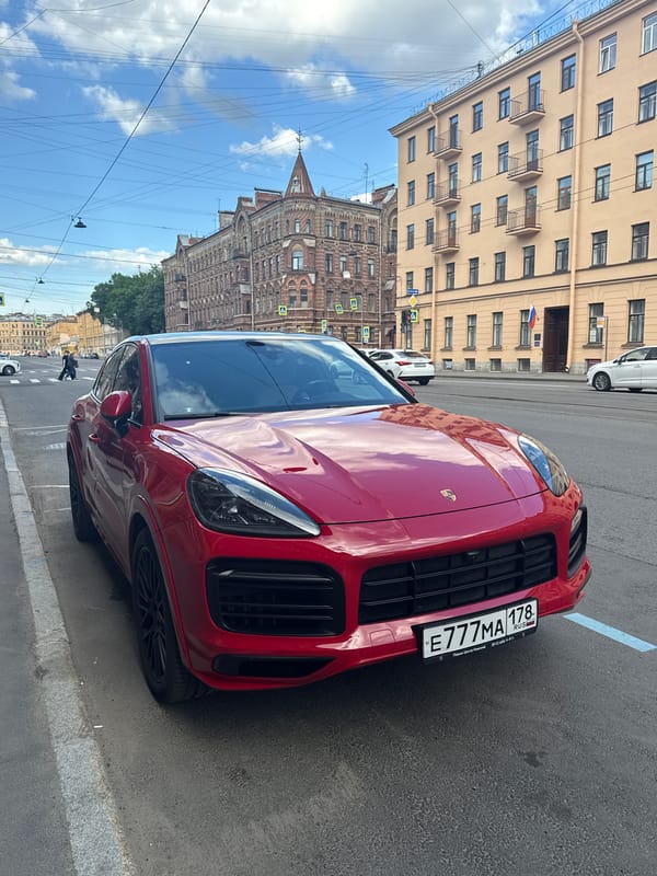 Saint Petersburg afternoon: street traffic and indoor cat scenes
