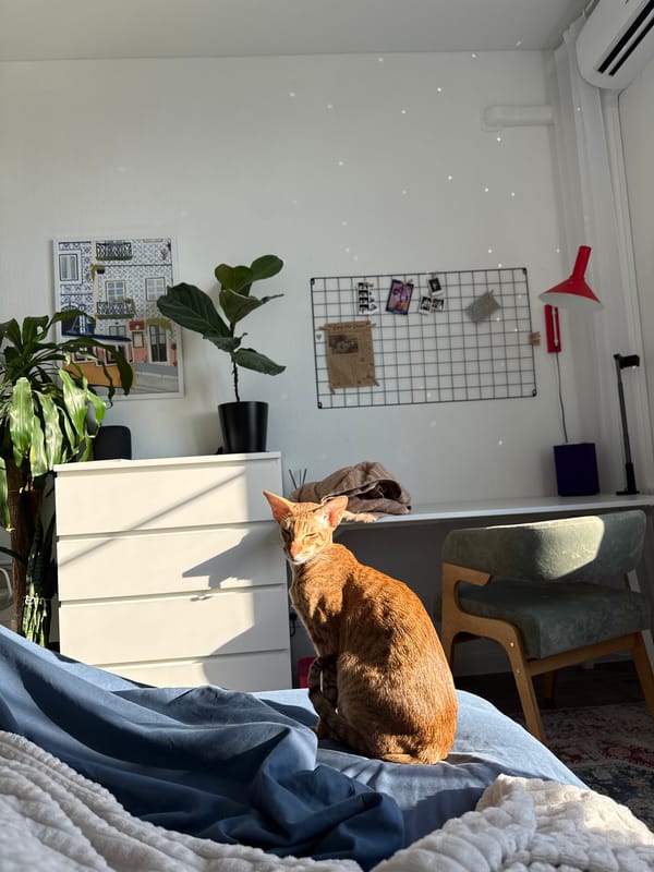 Orange tabby cat observed on cabinet in Khimki home