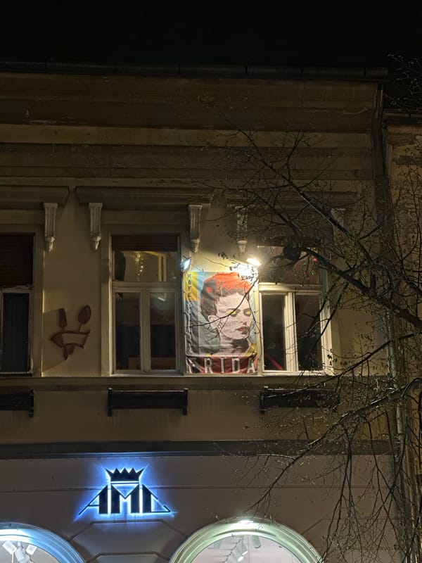 Evening lifestyle moments captured across Novi Sad, Serbia