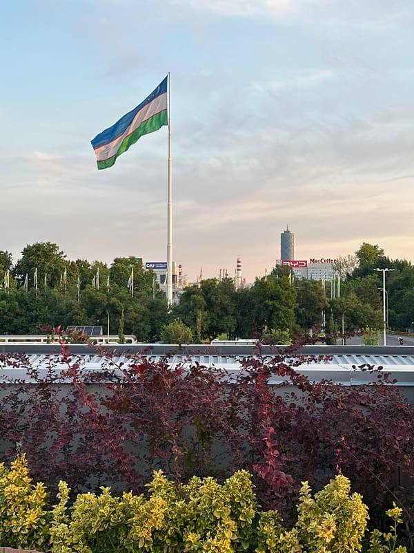 Visitor documents scenes around Tashkent airport and city flags