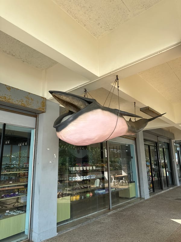 Whale sculpture spotted at Phuket Aquarium exterior in Thailand