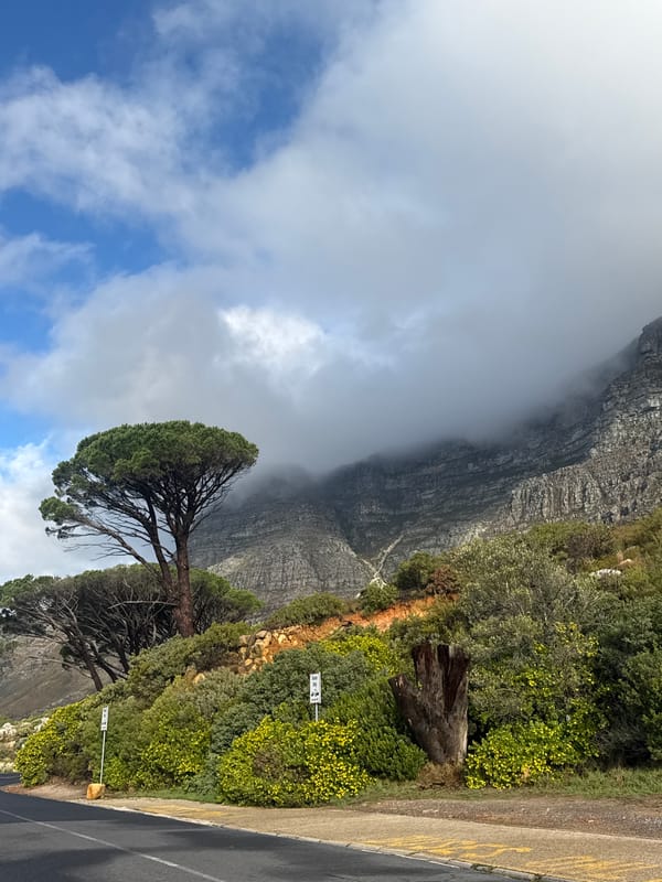 Table Mountain landscape documented in Cape Town afternoon