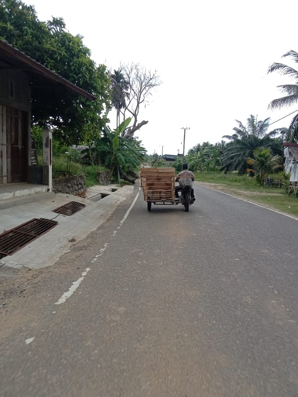 Motorcyclist transports wood cargo through Uleeblang, Indonesia