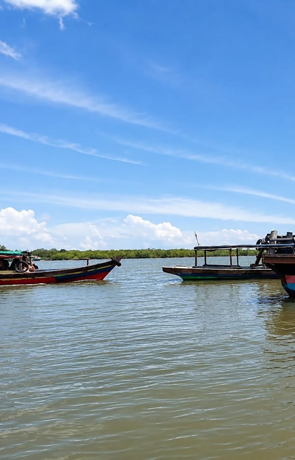Wooden pier over green river water in Medan, Indonesia