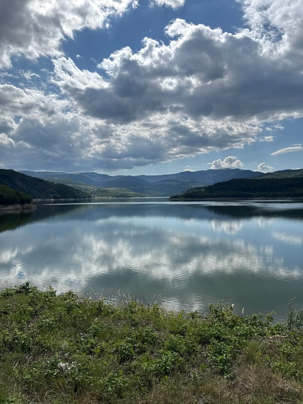 Mountain landscapes and a dam structure in lush green surroundings