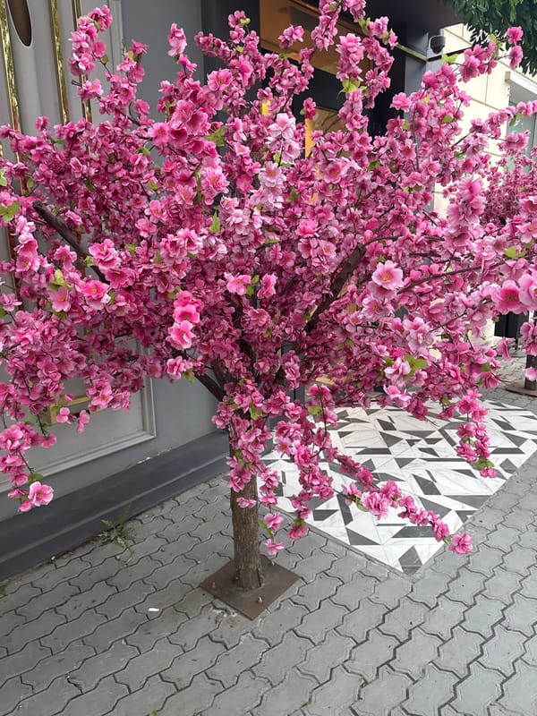 Khabarovsk street scenes documented including artificial cherry blossoms, crosswalk