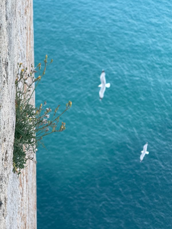 Tourist documents scenic Peníscola landmarks during afternoon coastal visit
