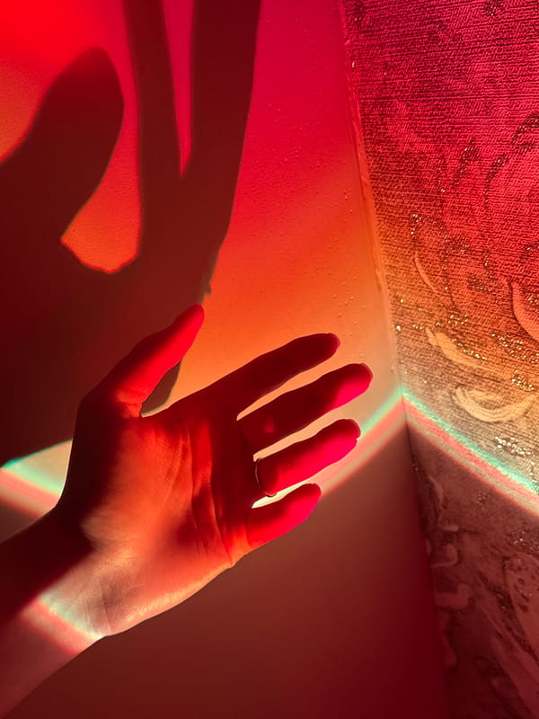 Ringed hand and red tulips in warm lamp light